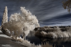 INFRARED_BALBOA_PARK_SANTEE_LAKE_695_DEC_02_2018-113_FINAL_06