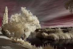 INFRARED_BALBOA_PARK_SANTEE_LAKE_695_DEC_02_2018-113_FINAL_07