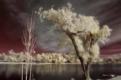 INFRARED_BALBOA_PARK_SANTEE_LAKE_695_DEC_02_2018-116_FINAL_07