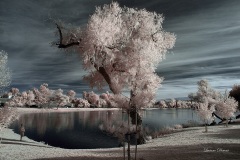 INFRARED_BALBOA_PARK_SANTEE_LAKE_695_DEC_02_2018-119_FINAL_10