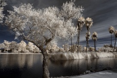 INFRARED_BALBOA_PARK_SANTEE_LAKE_695_DEC_02_2018-121_FINAL_06