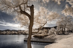 INFRARED_BALBOA_PARK_SANTEE_LAKE_695_DEC_02_2018-133_FINAL_06