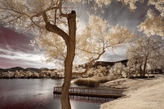 INFRARED_BALBOA_PARK_SANTEE_LAKE_695_DEC_02_2018-133_FINAL_07