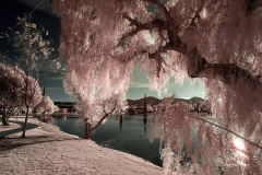 INFRARED_BALBOA_PARK_SANTEE_LAKE_695_DEC_02_2018-140_FINAL_10