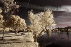 INFRARED_BALBOA_PARK_SANTEE_LAKE_695_DEC_02_2018-142_FINAL_07