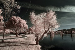 INFRARED_BALBOA_PARK_SANTEE_LAKE_695_DEC_02_2018-142_FINAL_10