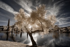 INFRARED_BALBOA_PARK_SANTEE_LAKE_695_DEC_02_2018-144_FINAL_06