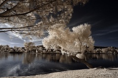 INFRARED_BALBOA_PARK_SANTEE_LAKE_695_DEC_02_2018-145_FINAL_06