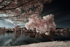 INFRARED_BALBOA_PARK_SANTEE_LAKE_695_DEC_02_2018-145_FINAL_10