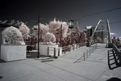 INFRARED_SDSU_720_DEC_29_2019-24_FINAL_10