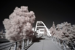 INFRARED_SDSU_720_DEC_29_2019-36_FINAL_10