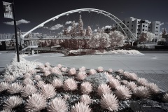 INFRARED_SDSU_720_DEC_29_2019-48_FINAL_10