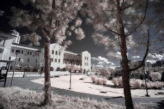 INFRARED_SDSU_720_DEC_29_2019-64_FINAL_10