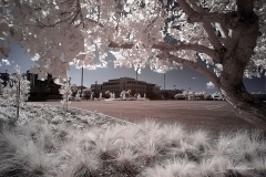 INFRARED_SDSU_720_DEC_29_2019-65_FINAL_10