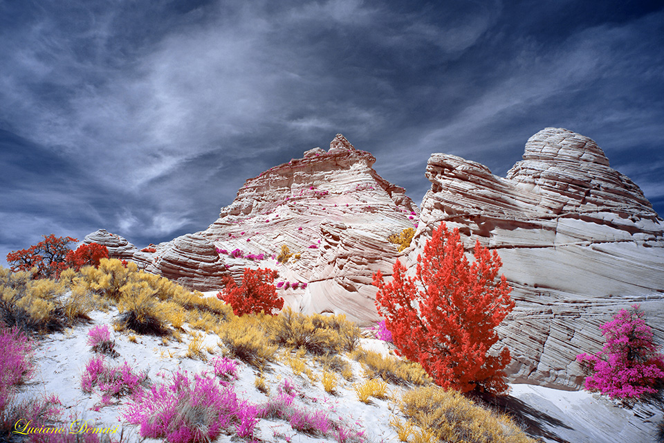 DAY_04_SOUTH_COYOTE_BUTTES-73_COMPOSITION.jpg