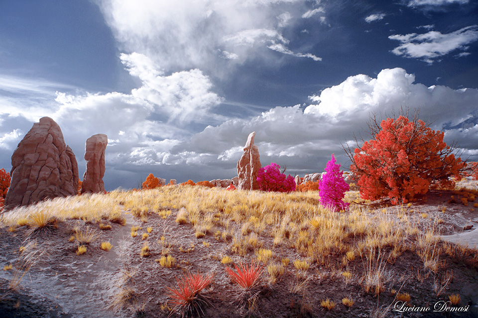 INFRARED_DAY_07_DEVILS_GARDEN-20_COMPOSITION.jpg