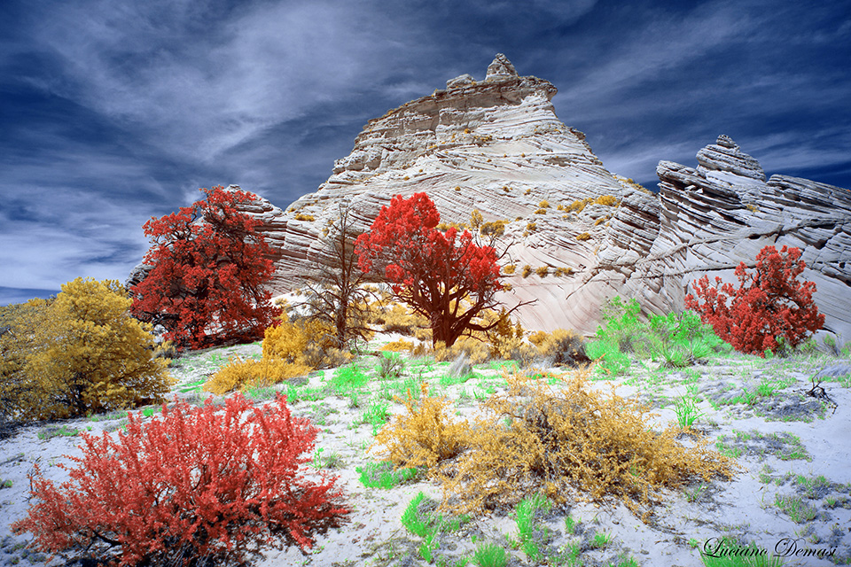 DAY_04_SOUTH_COYOTE_BUTTES-71_COMPOSITION_03.jpg